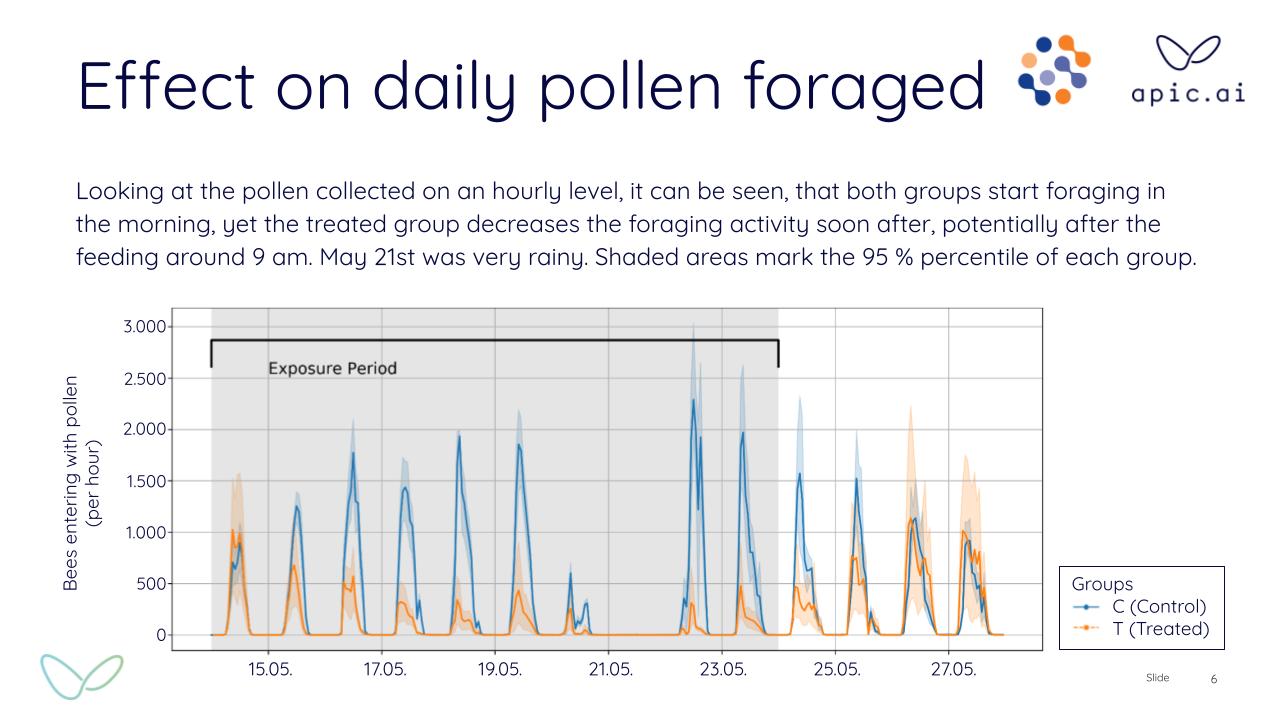 Daily pollen foraging